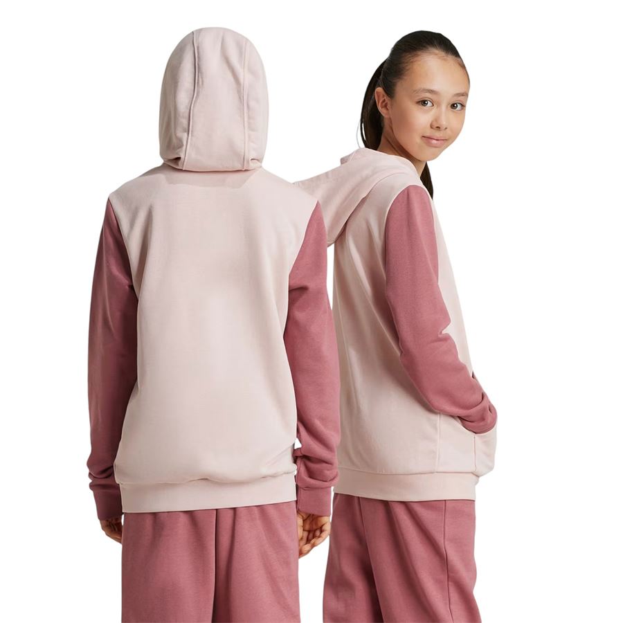 Felpa con cappuccio da bambina Essentials Big Logo Colorblock Adidas | IX9512X